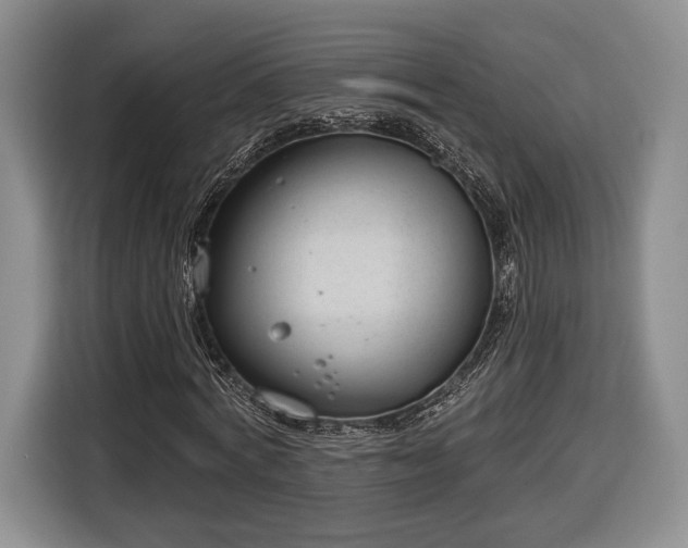X0000116650772200912211446