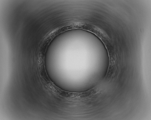 X0000116650773200912211446