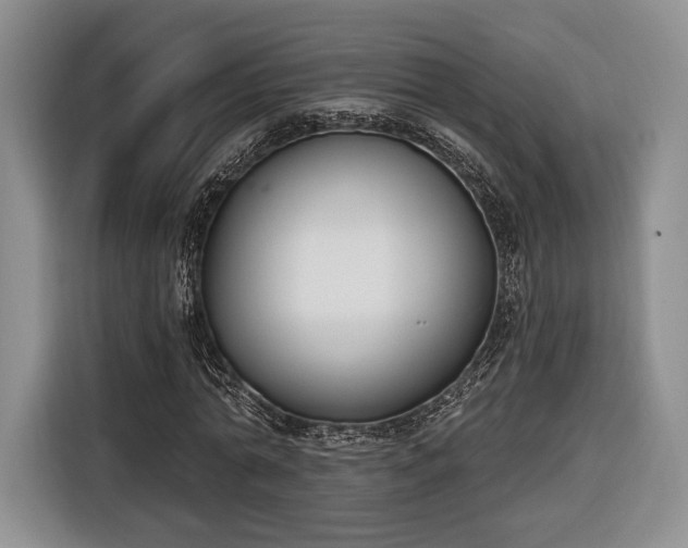 X0000116650774200912211446
