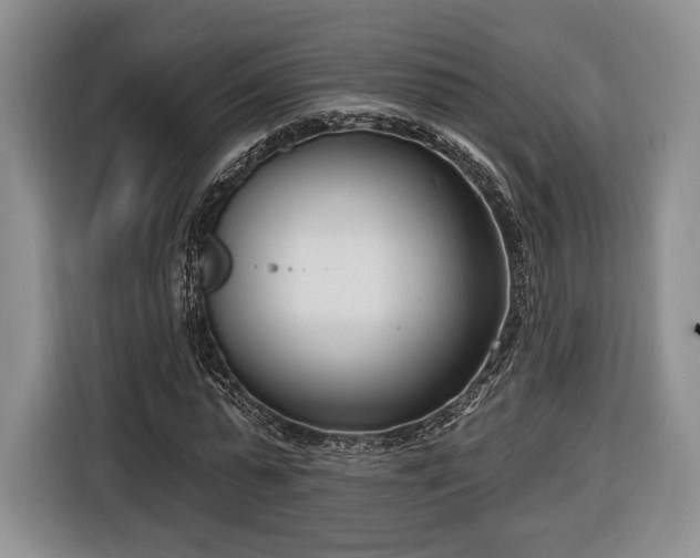 X0000116650775200912211446