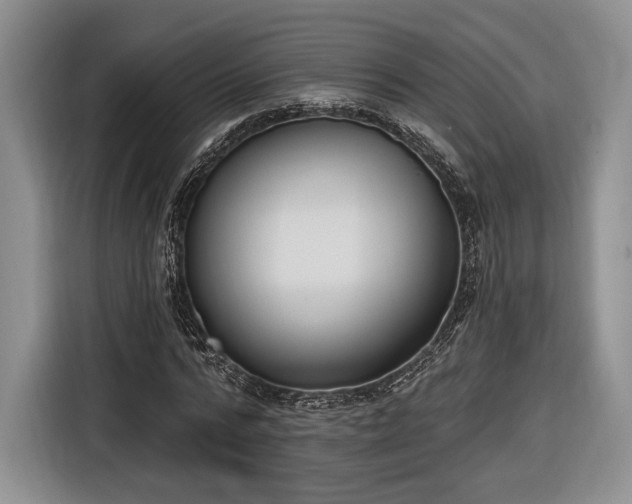 X0000116650776200912211446