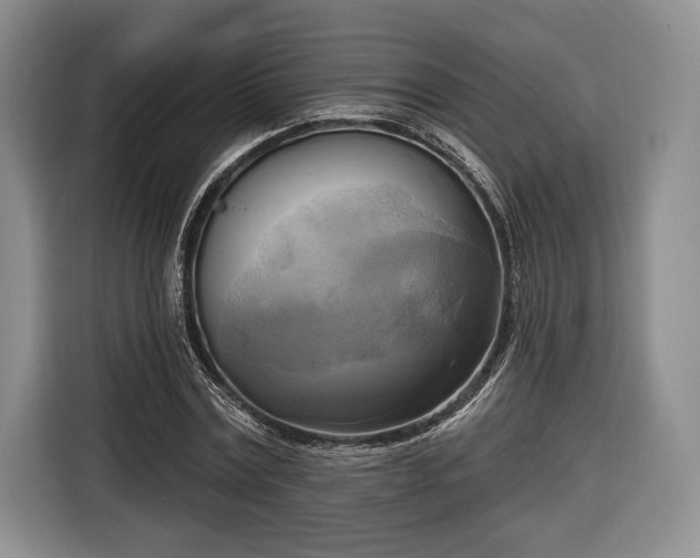 X0000116650779200912211446