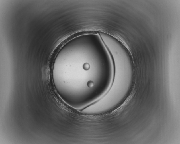 X0000116650781200912211446