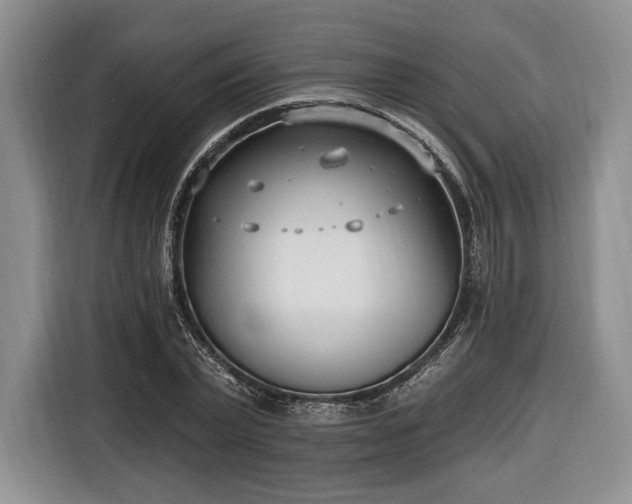 X0000116650783200912211446