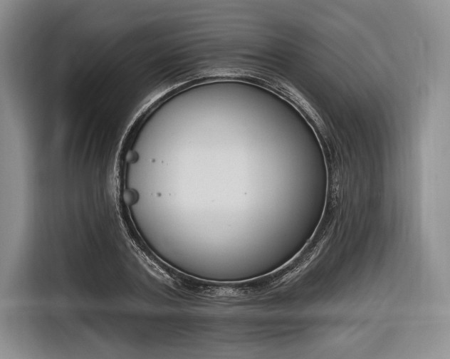 X0000116650787200912211446