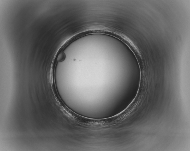 X0000116650791200912211446