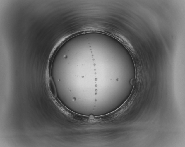 X0000116650796200912211446