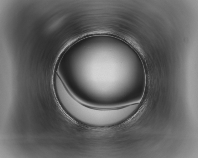 X0000116650797200912211446