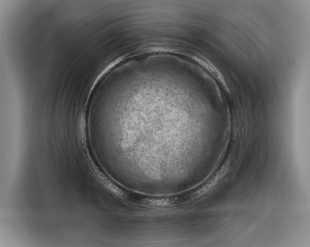 X0000116650798200912211446