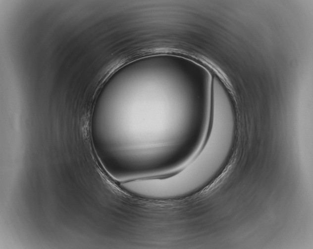 X0000116650801200912211446