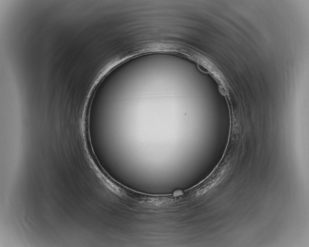X0000116650803200912211446