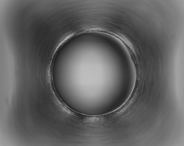 X0000116650806200912211446
