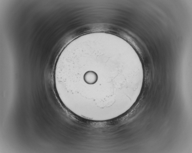 X0000116650810200912211446