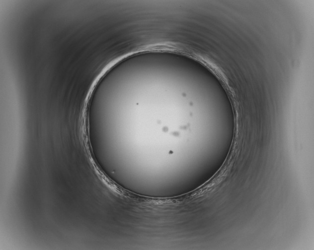 X0000116650816200912211446