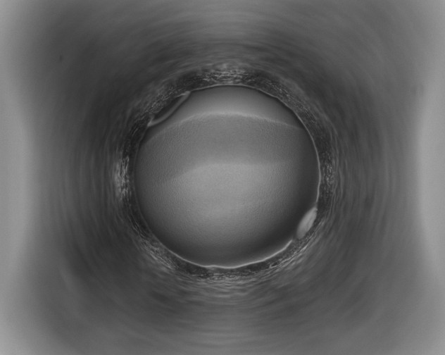 X0000116650818200912211445