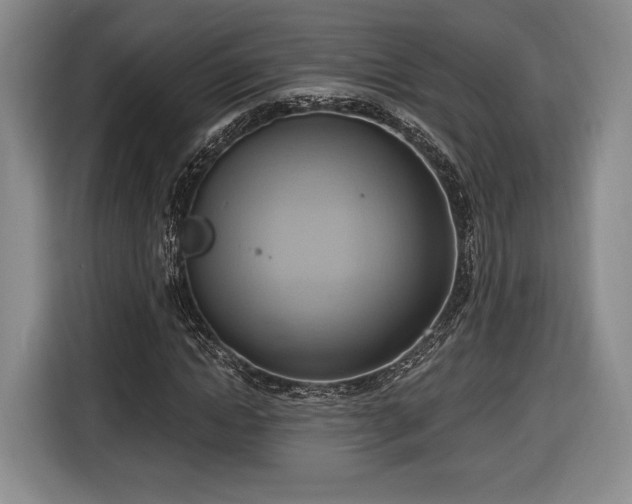 X0000116650822200912211445