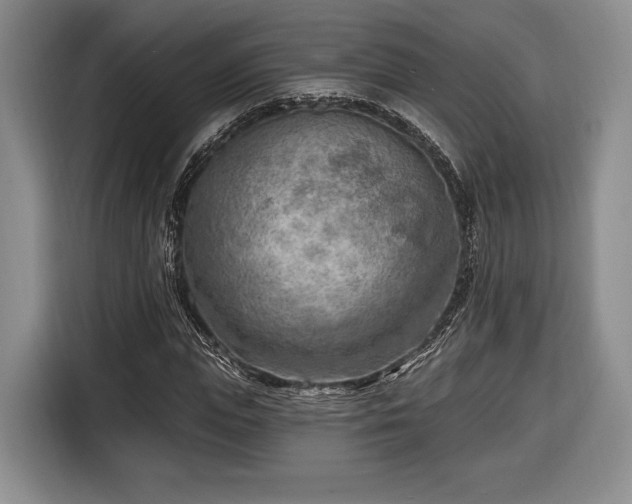 X0000116650823200912211445