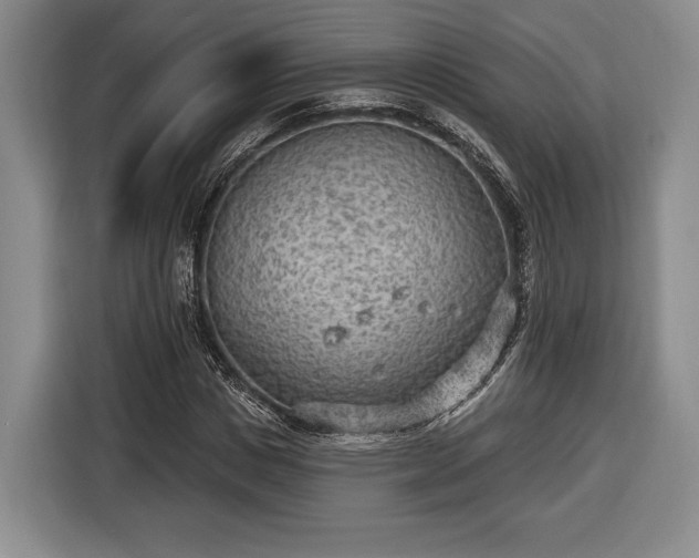X0000116650825200912211445