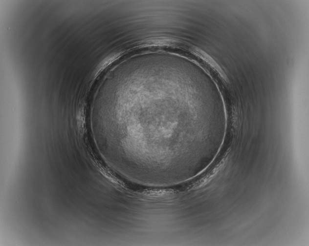 X0000116650826200912211445
