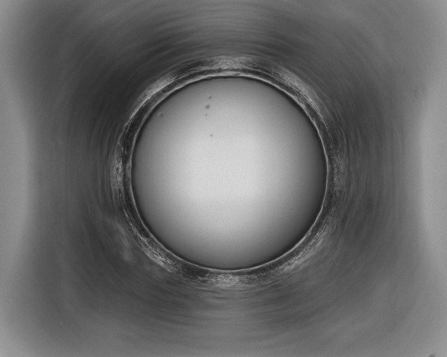 X0000116650827200912211445