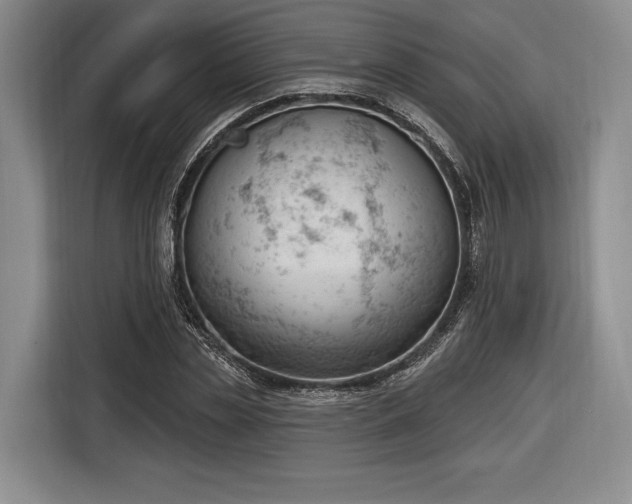X0000116650829200912211445