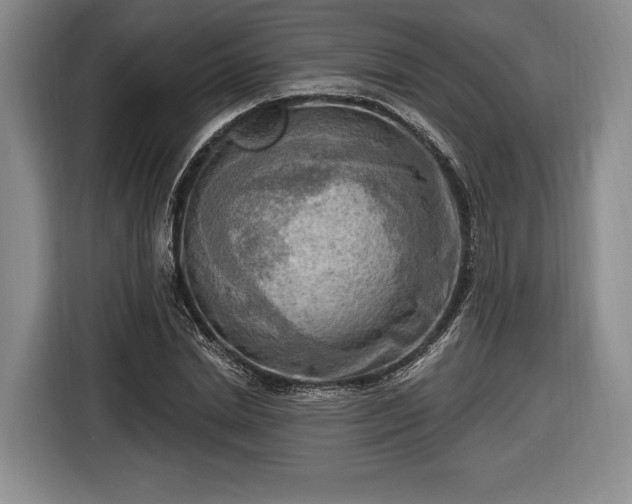X0000116650830200912211445