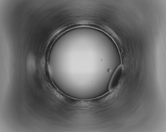 X0000116650831200912211445
