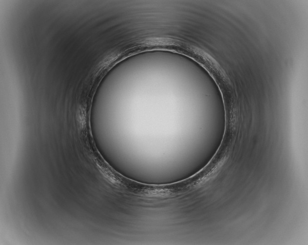 X0000116650833200912211445