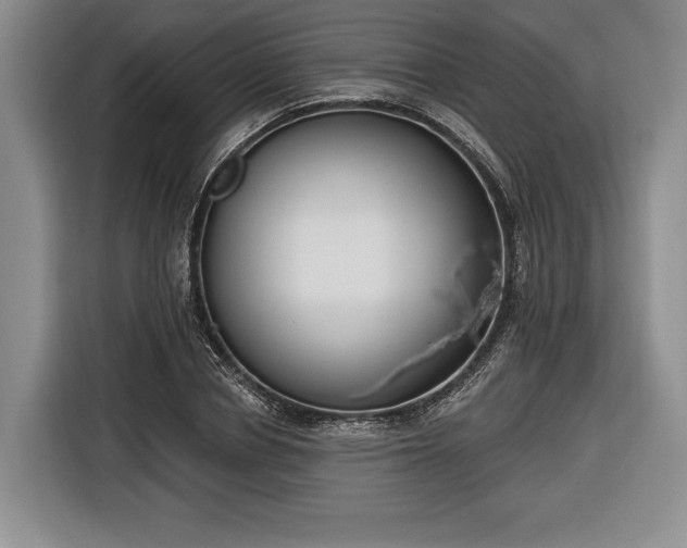 X0000116650834200912211445