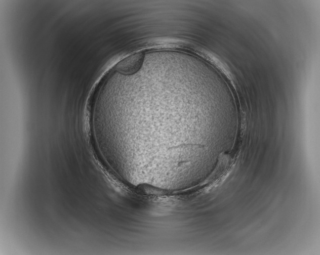 X0000116650835200912211445