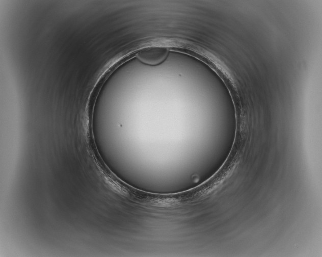 X0000116650837200912211445