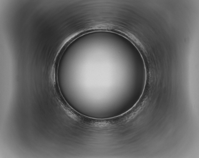 X0000116650838200912211445