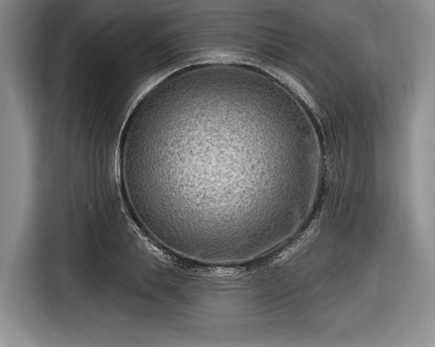 X0000116650839200912211445