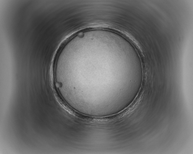 X0000116650840200912211445