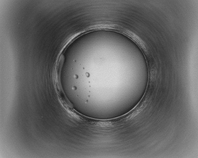 X0000116650844200912211445