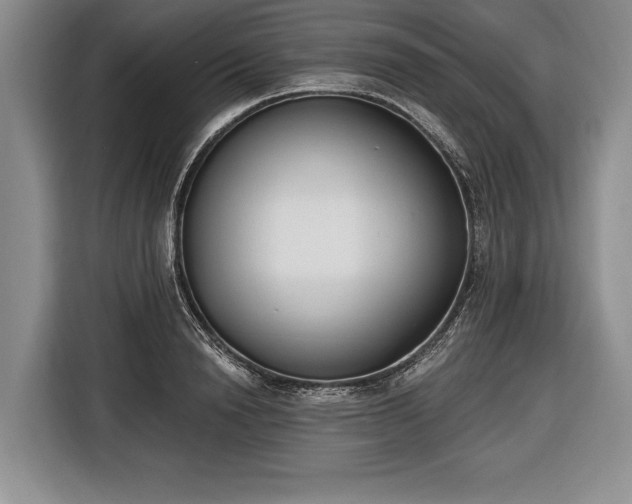 X0000116650846200912211445