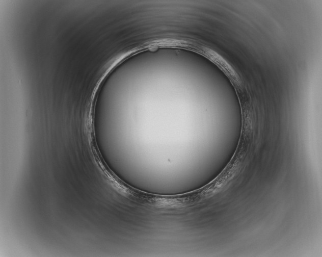 X0000116650852200912211446