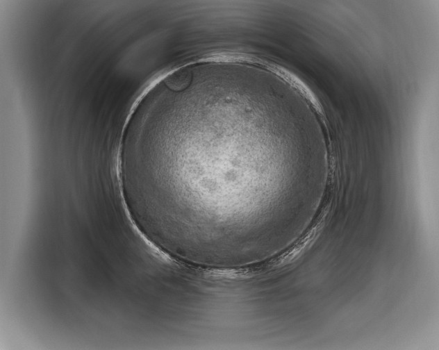 X0000116650855200912211446