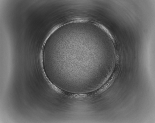 X0000116650859200912211446