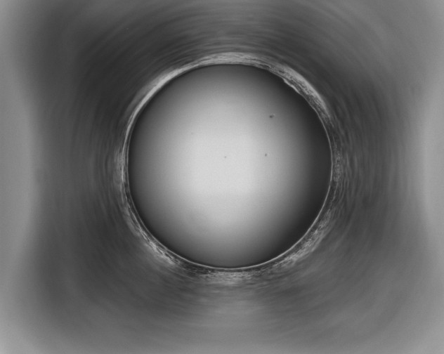 X0000116650860200912211446