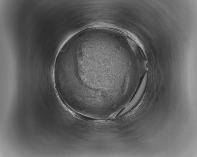 X0000116650863200912211446