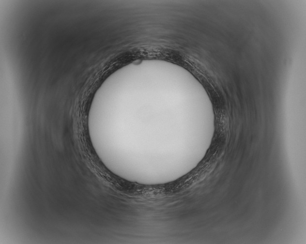 X0000116650865200912211445