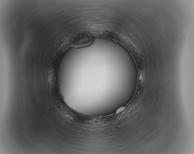 X0000116650867200912211445