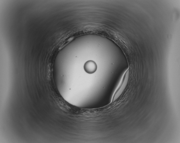 X0000116650868200912211445