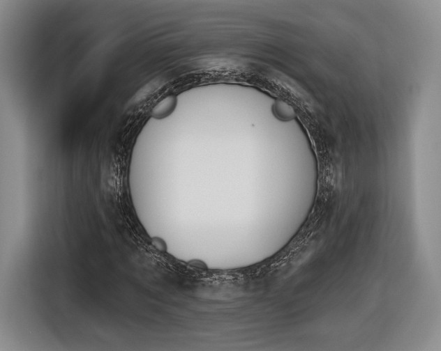 X0000116650869200912211445