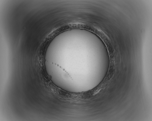 X0000116650870200912211445