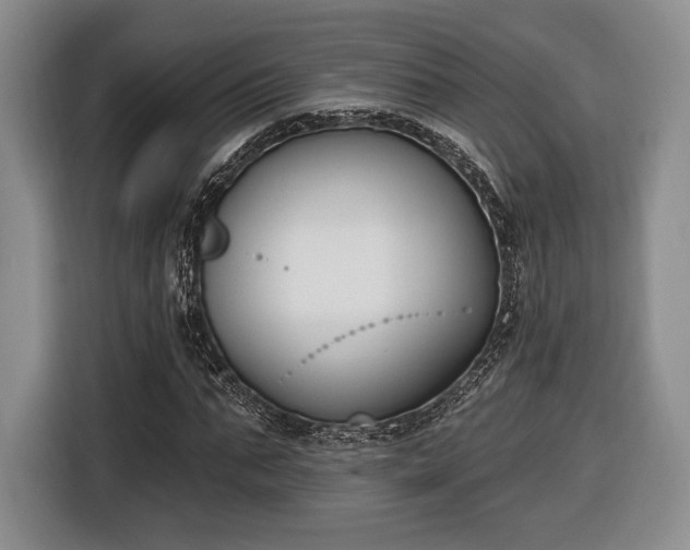 X0000116650871200912211445