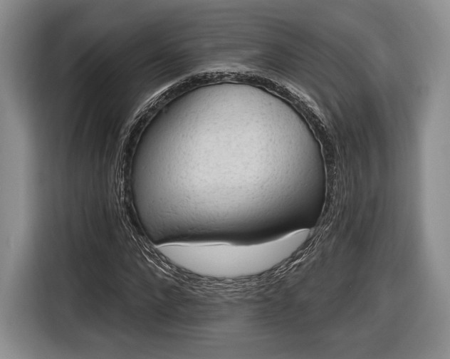 X0000116650872200912211445