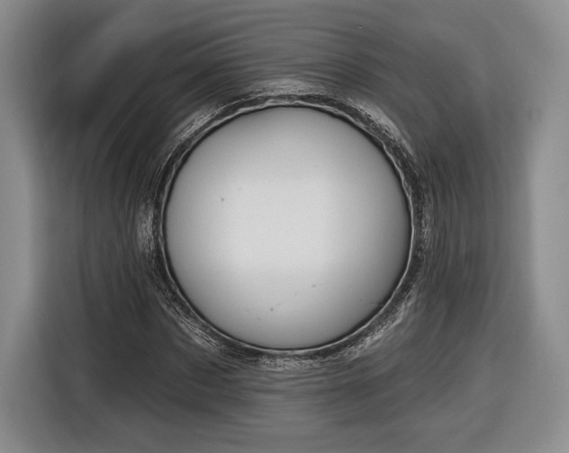 X0000116650873200912211445