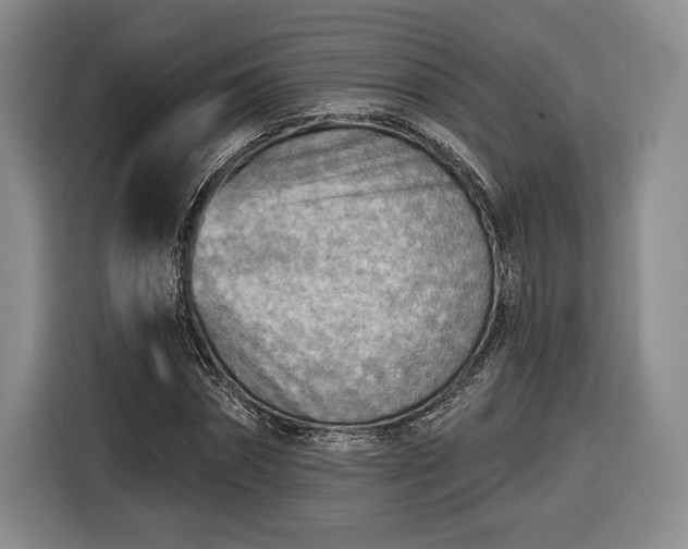 X0000116650874200912211445
